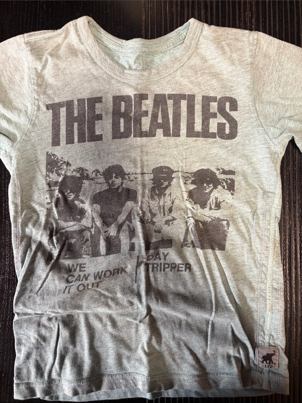 The Beatles Graphic Tee in Light Gray